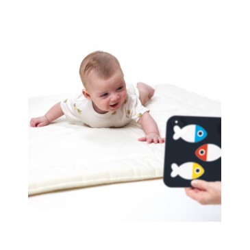 Κάρτες Υψηλής Αντίθεσης 0m-3m Baby Pack Banana Panda BP76276