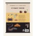 Παιδικό Βιβλίο Φυσικός Κόσμος Desyllas 711003